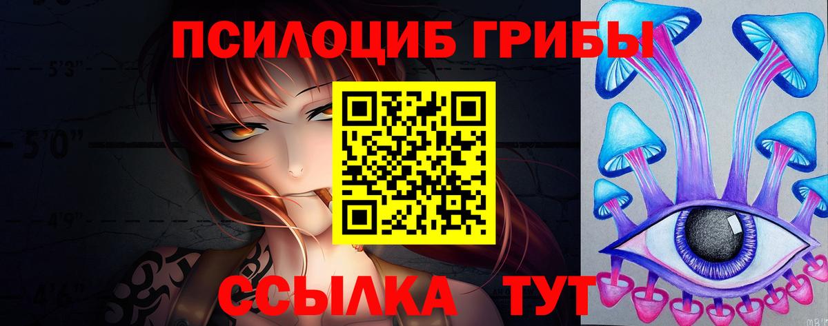 Псилоцибиновые грибы Psilocybe Острогожск