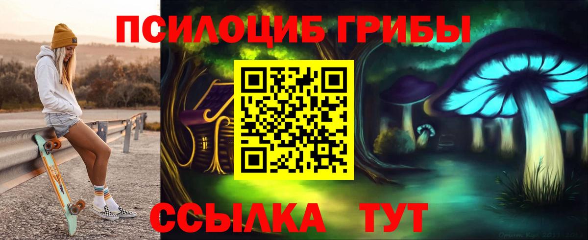 Острогожск  Псилоцибиновые грибы мицелий  Вход с VPN 